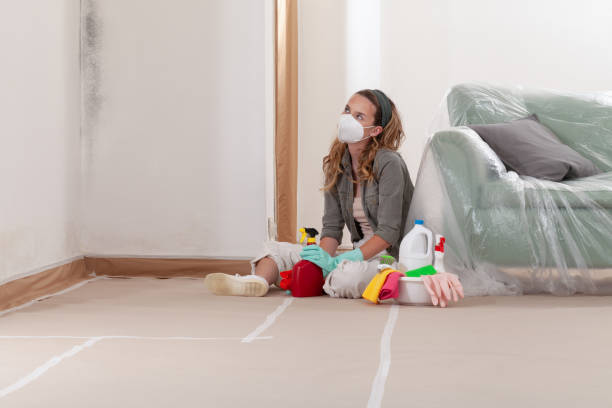 Reliable Mold Cleanup contractor in Garysburg, NC by Cheap Mold Removal